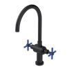 Rubinet Two Handle Single Hole Kitchen Set with LaSalle Spout Matt Black