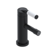 Rubinet Single Control Bidet Fitting (less drain) Matt Black