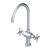Rubinet Two Handle Single Hole Kitchen Set with LaSalle Spout Satin Chrome