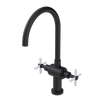 Rubinet Two Handle Single Hole Kitchen Set with LaSalle Spout Matt Black