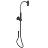 Rubinet Hand Held Shower Bidet with Extended Reach & Dual Function Spray Including Wall Bracket with Supply & Hose (Round) Green Envy