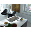 FRANKE Atlas Neo Pull-Out Faucet - ATL-PO-304