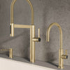 Blanco Blancoculina II Kitchen Faucet