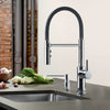Blanco CATRIS FLEXO Kitchen Faucet