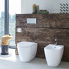 Duravit Starck T Toilet paper holder