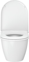 Duravit Universal Toilet seat