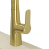 Grani Pull-Down Dual Spray Kitchen Faucet