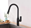 TIMELYSS Pull-down Dual Spray Kitchen Faucet - F23134