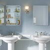 Kohler 20" W x 26" H aluminum single-door medicine cabinet with mirrored door, beveled edges
