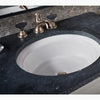 Artifacts™ 21-1/4" oval undermount bathroom sink