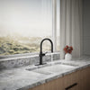 Kohler Crue® Pull-Down Kitchen Faucet