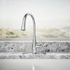 KOHLER Simplice® Pull-Down Kitchen Faucet