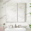 Kohler 25" W x 26" H aluminum two-door medicine cabinet with mirrored doors, beveled edges