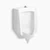 Kohler Blow-out half-stall 0.5–1.0 gpf urinal, top spud