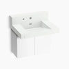 Kohler 30" wall-mount lavatory system with backsplash
