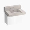 Kohler 30" wall-mount lavatory system with backsplash