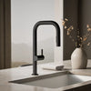 Kohler Components® Pull-down kitchen sink faucet with two-function sprayhead
