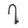 Aquaflo Echo Pull-Down Kitchen Faucet - KFE16
