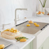 Blanco Linus Kitchen Faucet