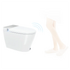 Canluxe Smart Toilet