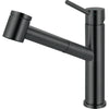 FRANKE Steel Pull-Out Faucet - STL-PO-304