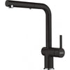 FRANKE Active Pull-Out Faucet - ACT-PO-PWT