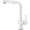 FRANKE Active Pull-Out Faucet - ACT-PO-PWT
