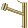 FRANKE Steel Pull-Out Faucet - STL-PO-304