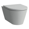 Laufen Light Grey 2-Piece Elongated Dual-Flush Wall Mounted Toilet with Duravit In-Wall Tank (Seat Included)