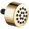 Essential Shower Series Hydrachoice Touch-Clean Spray Head - Brilliance® Polished Gold