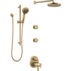 Delta Thermostatic Pro Clean Body Spray Shower Kit