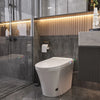 Kodaen Smart toilets with built-in tank Integrated Smart Toilet (SMT-V9D)