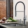 Blanco CATRIS FLEXO Kitchen Faucet