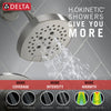 Delta 17 Thermostatic Shower