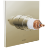 Frank Lloyd Wright Bath Collection by Brizo TempAssure Thermostatic Valve Only Trim - Less Handles - Brilliance® Polished Nickel