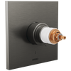 Frank Lloyd Wright Bath Collection by Brizo TempAssure Thermostatic Valve Only Trim - Less Handles - Brilliance® Luxe Steel®