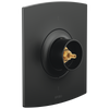 Brizo Sensori Thermostatic Valve Trim - Less Handles - Matte Black