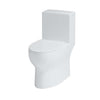Contrac Eglinton – TL-3100A-WL Elongated One Piece Toilet with Lined Tank
