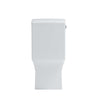 Contrac Eglinton – TL-3100A-WL Elongated One Piece Toilet with Lined Tank
