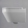 Alps Aaron Elongated Dual-Flush Wall-Mounted Toilet with Seat & Duravit Carrier (1.6/1.1 gpf)