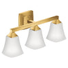 Moen Voss Bath Light