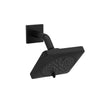 RIOBEL 5" 6-Function Showerhead With Arm