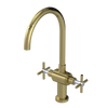 Rubinet Two Handle Single Hole Kitchen Set with LaSalle Spout Natural Brass