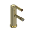 Rubinet Single Control Bidet Fitting (less drain) Gold