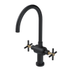Rubinet Two Handle Single Hole Kitchen Set with LaSalle Spout Matt Black