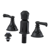 Rubinet Bidet Fitting with Spray, Diverter, and Vacum Breaker (Less Drain) Black