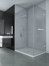 Oceania California Shower Door (PR2)