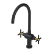 Rubinet Two Handle Single Hole Kitchen Set with LaSalle Spout Matt Black