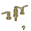 Rubinet Bidet Fitting with Spray, Diverter, and Vacum Breaker (Less Drain) Bright Brass