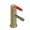 Rubinet Single Control Bidet Fitting (less drain) Gold